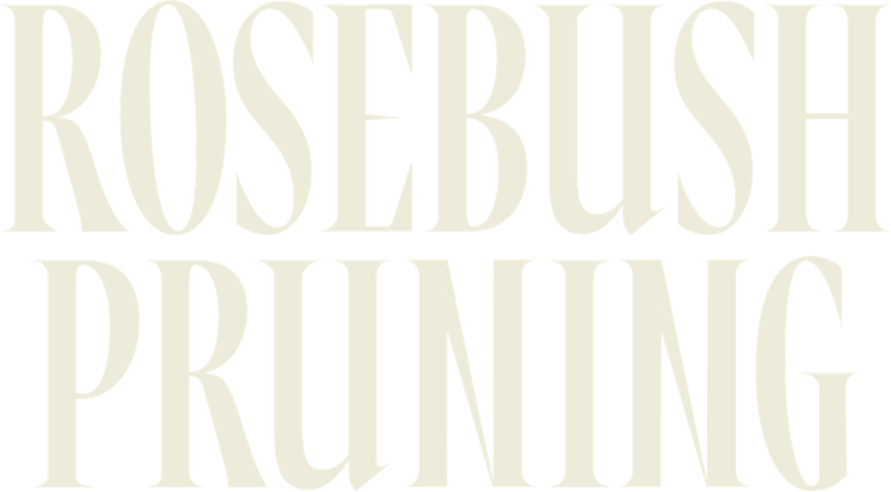 Rosebush Pruning