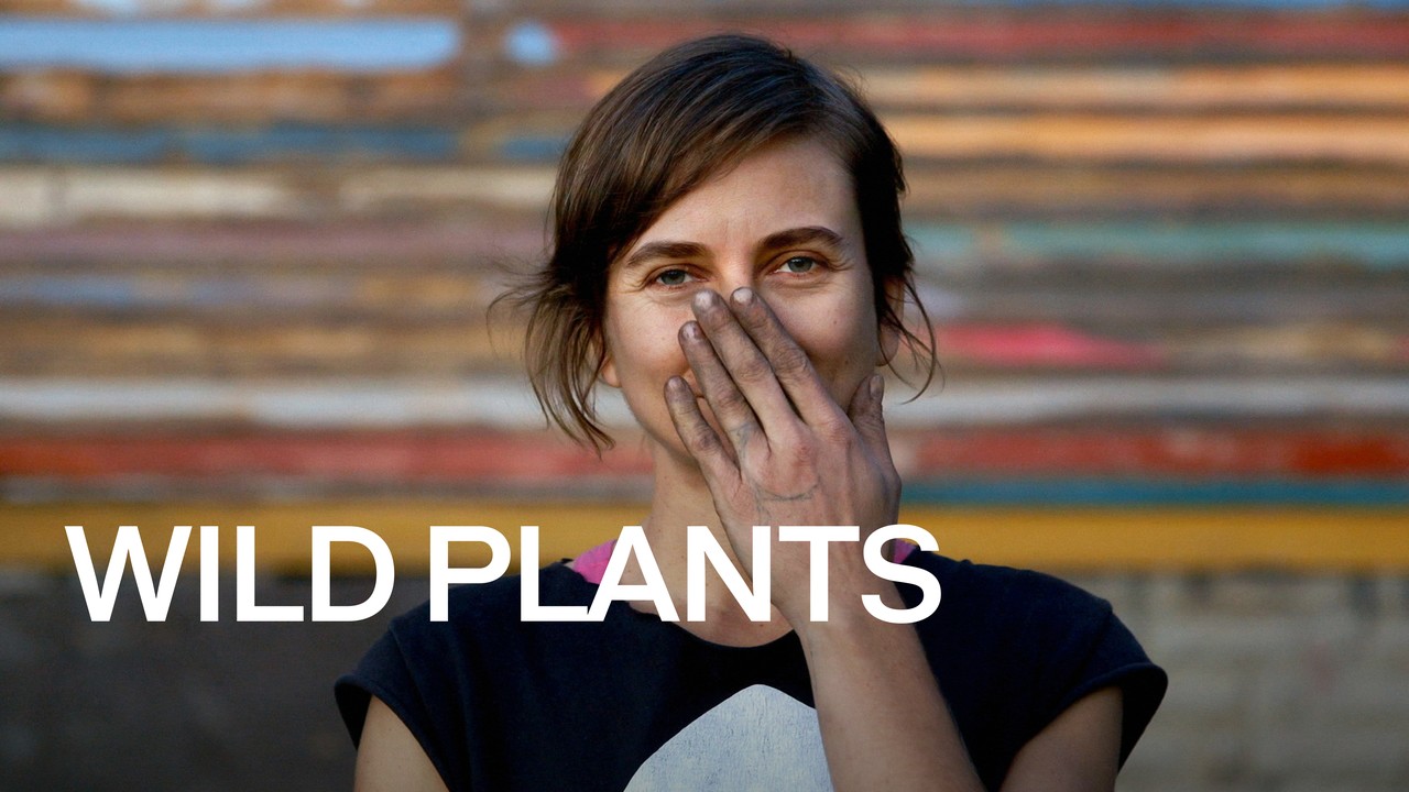 boobie planter Boobie Planter  Green Jeans Houseplants