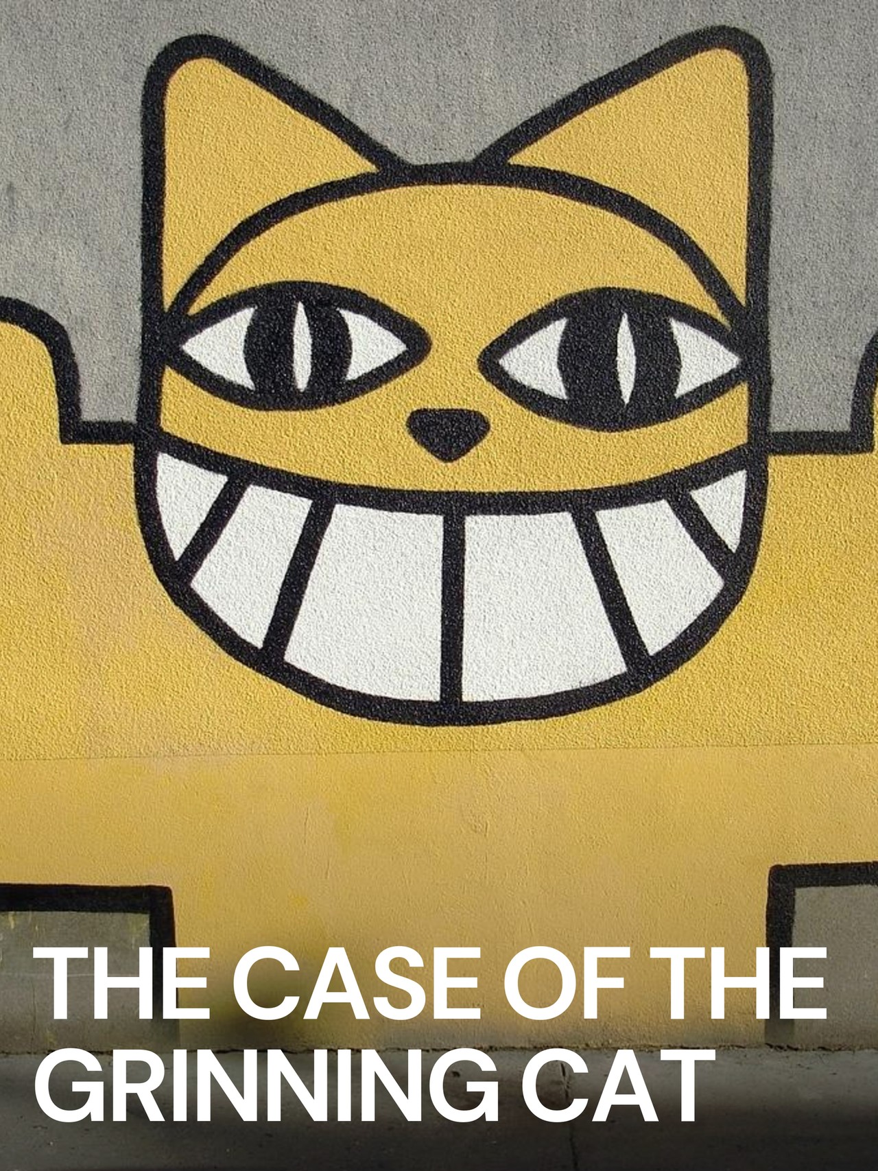 the case of the grinning cat DVD 笑う猫事件 the case of the grinning cat DVD 笑う猫事件