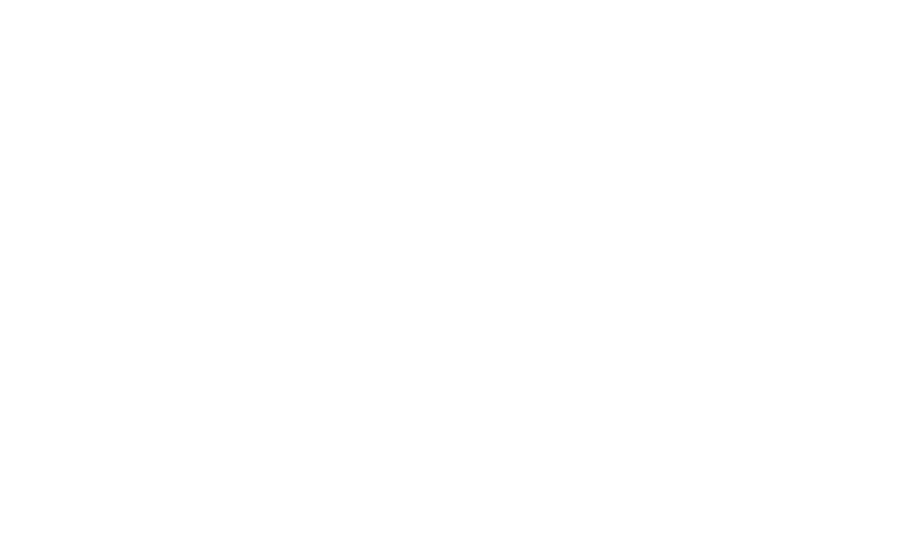 Ashes of Time Redux