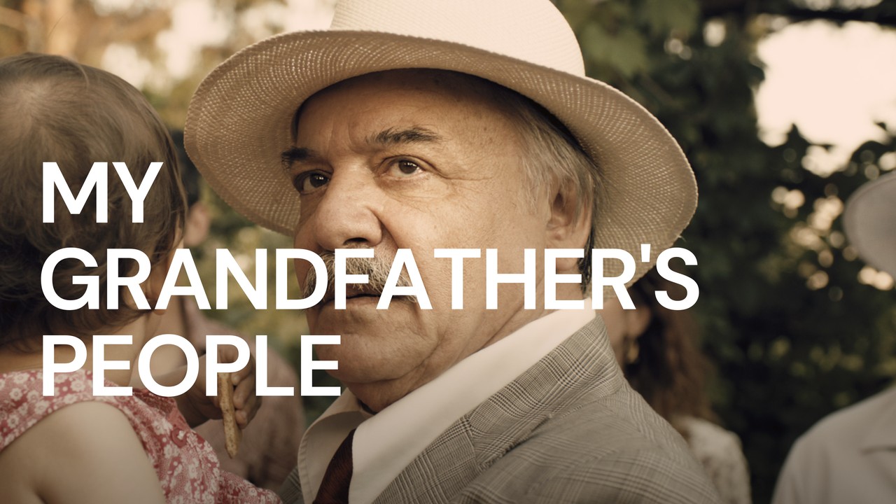 külot ichida hol mushuk