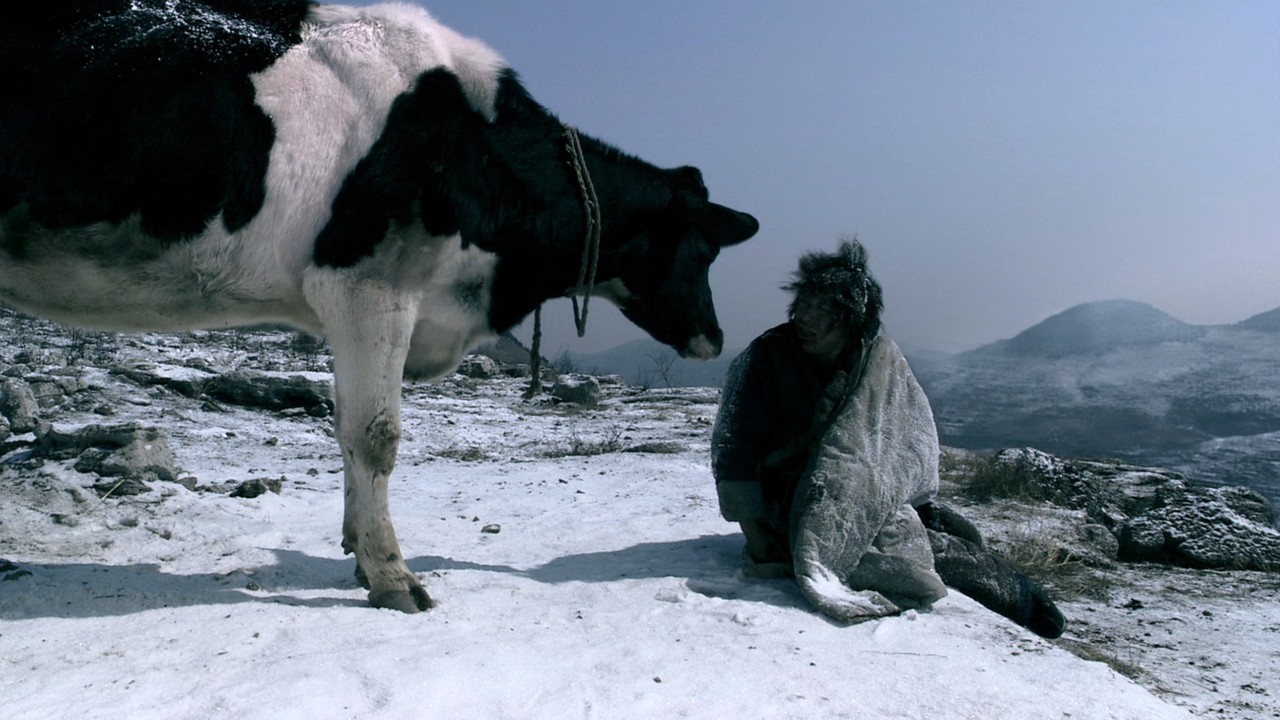 邦楽 COW COW was INNOCENT. 邦楽 COW COW was INNOCENT. Amazon.co.jp: COW COW was