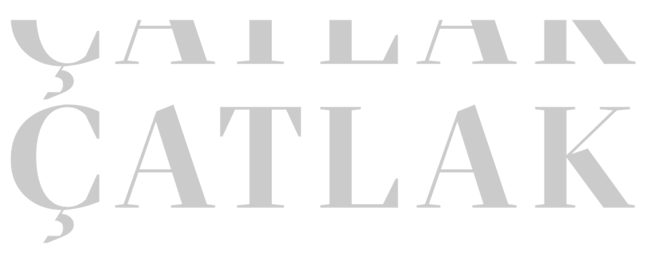Çatlak