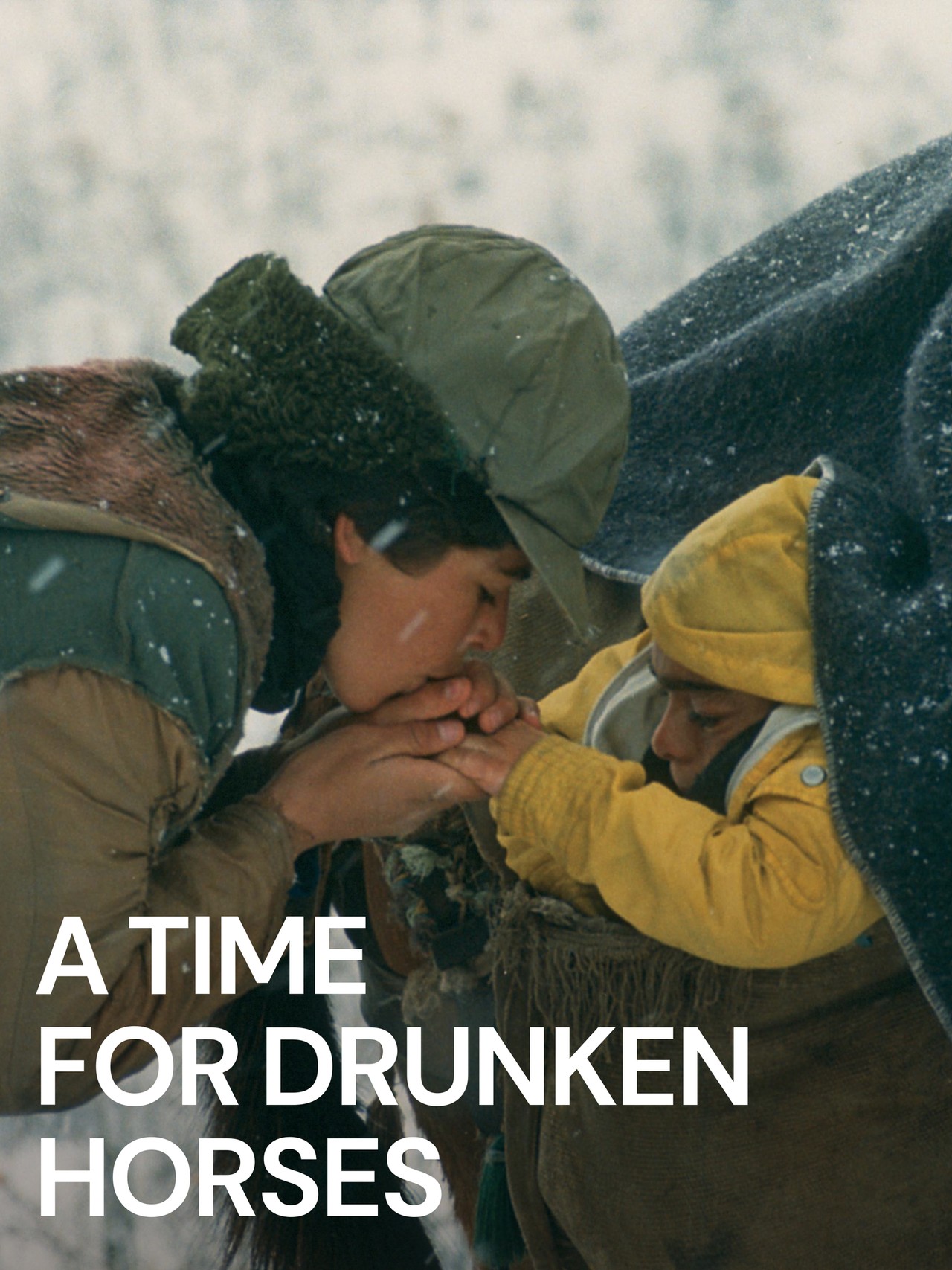 A Time for Drunken Horses (2000) | MUBI