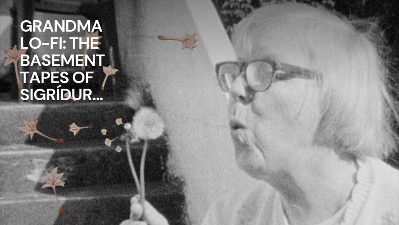 Grandma Lo-fi: The Basement Tapes of Sigrídur Níelsdóttir (2011