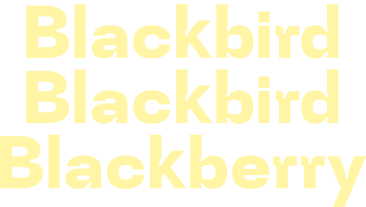 Blackbird Blackbird Blackberry