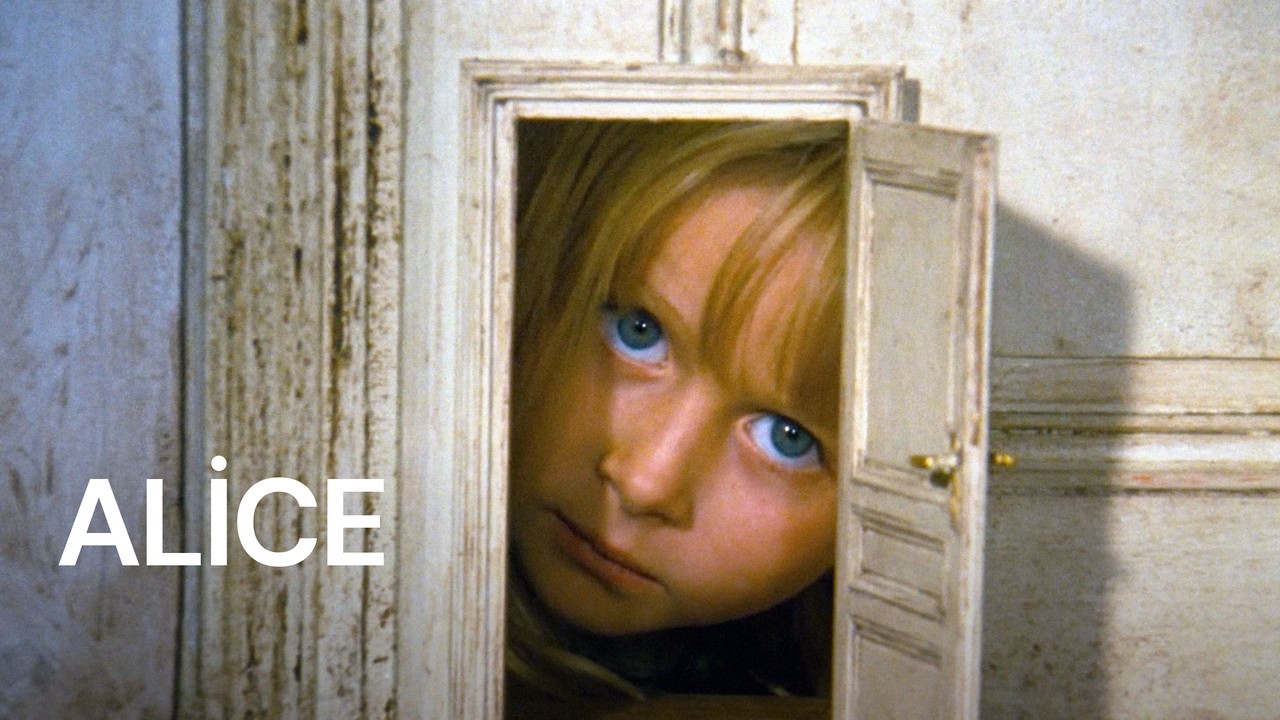 ALICE  images-original.png