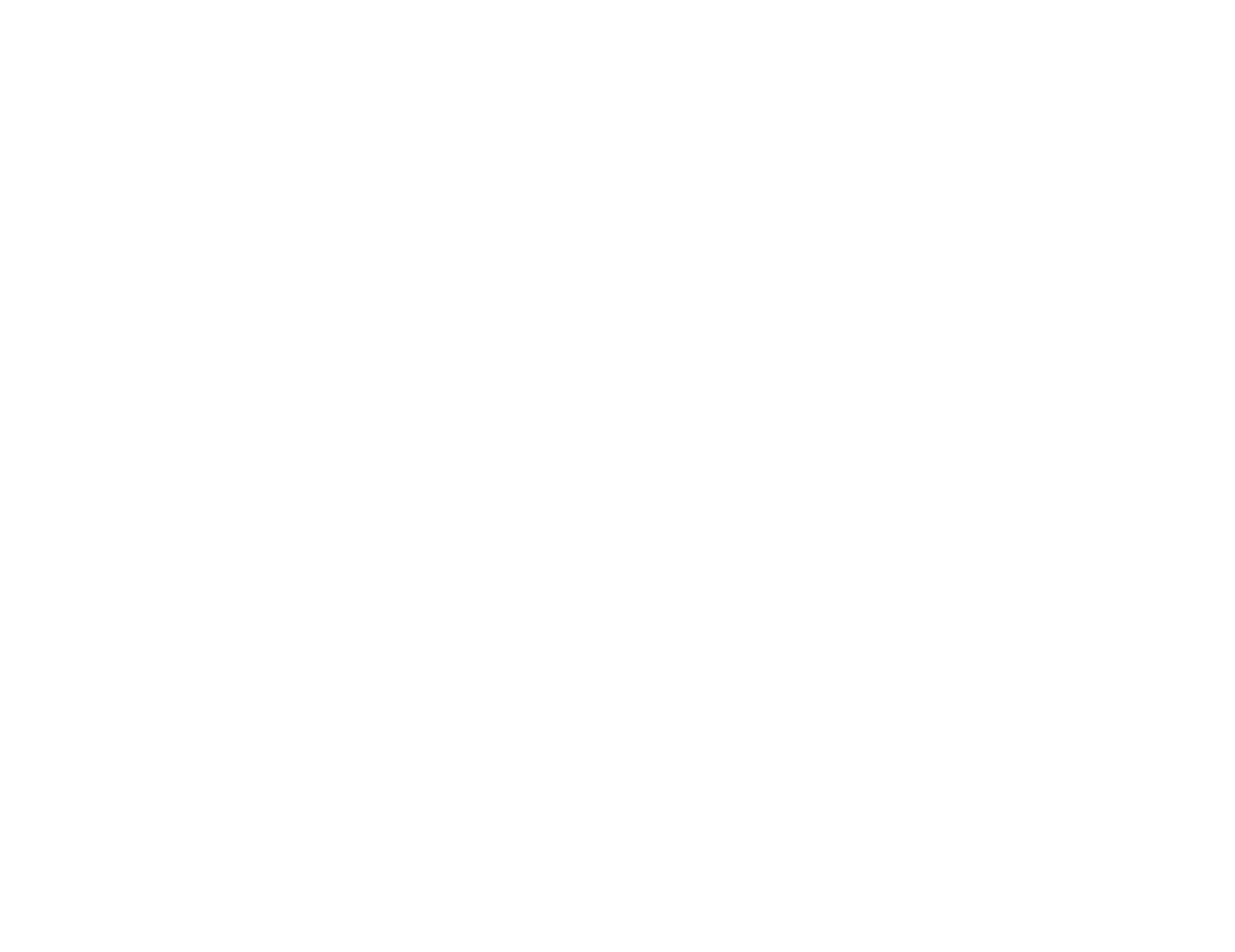 The Practice