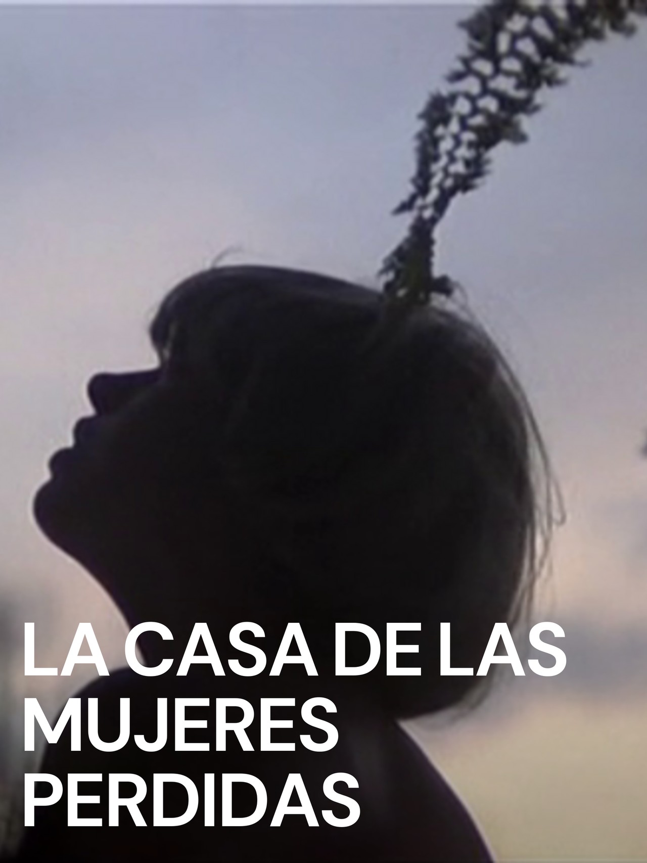 La casa de las mujeres perdidas AKA The House of Lost Women - Official Movie Poster (1983) | Series Hub Cinema