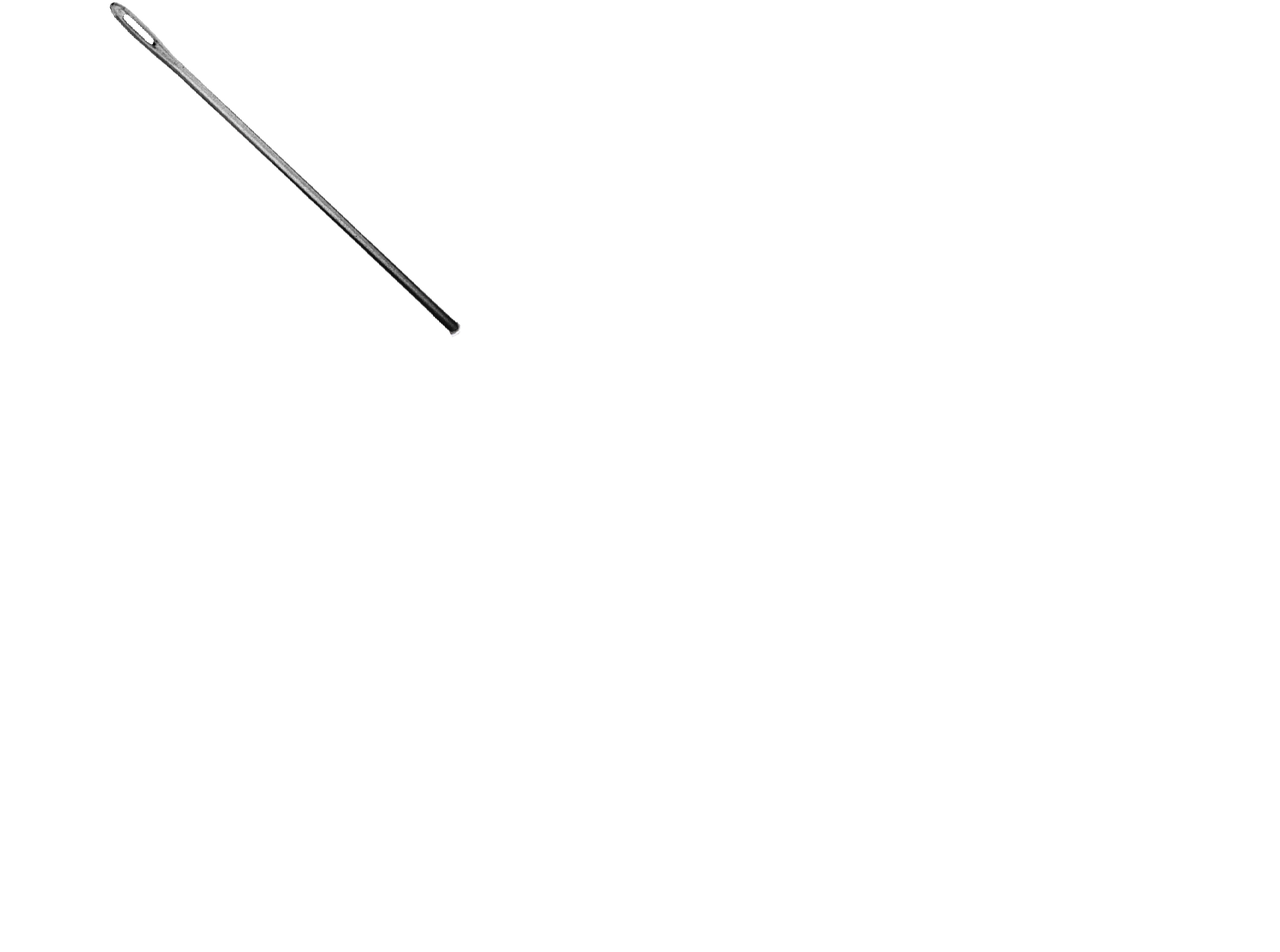 A Garota da Agulha