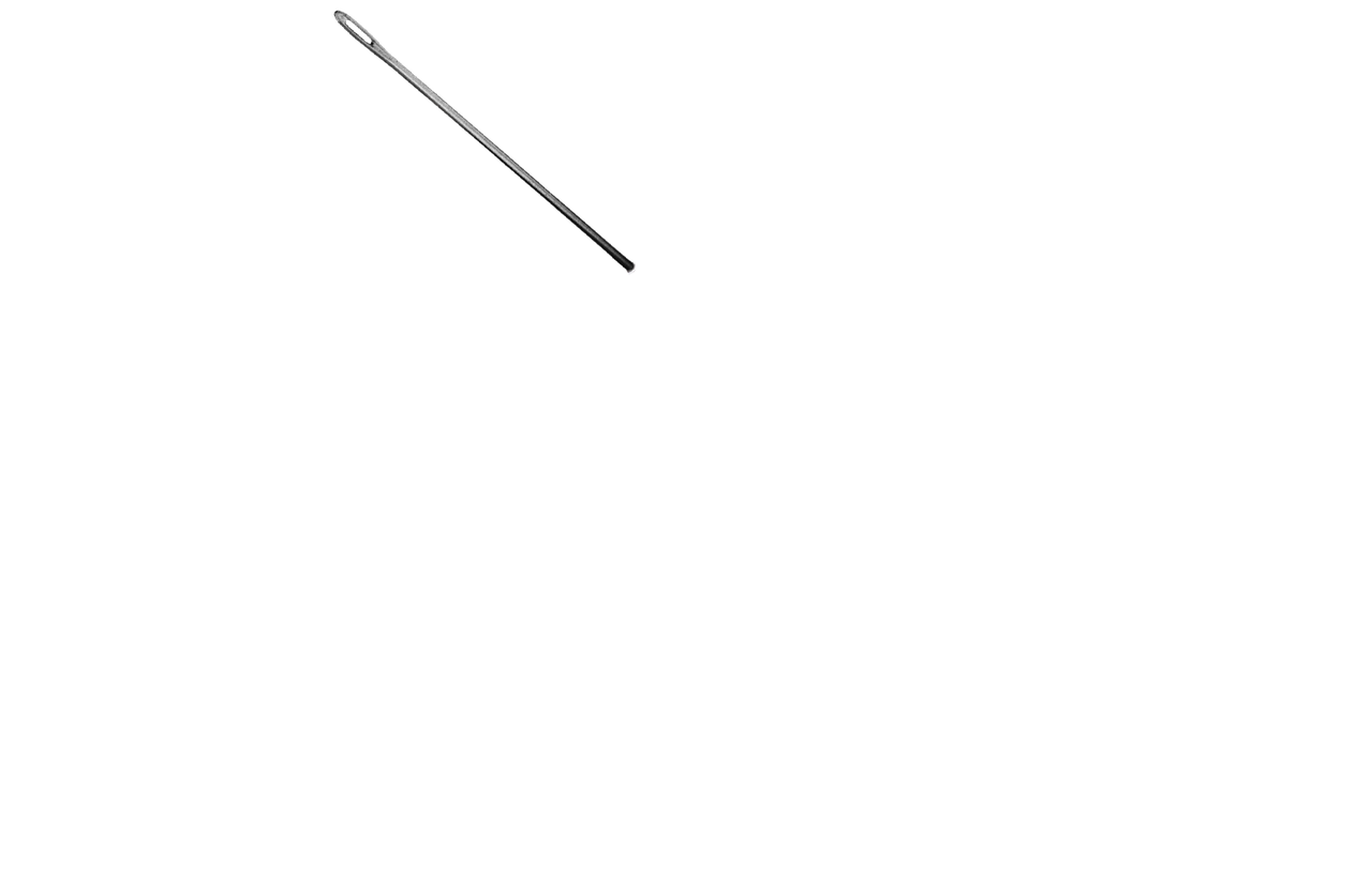 Das Mädchen mit der Nadel