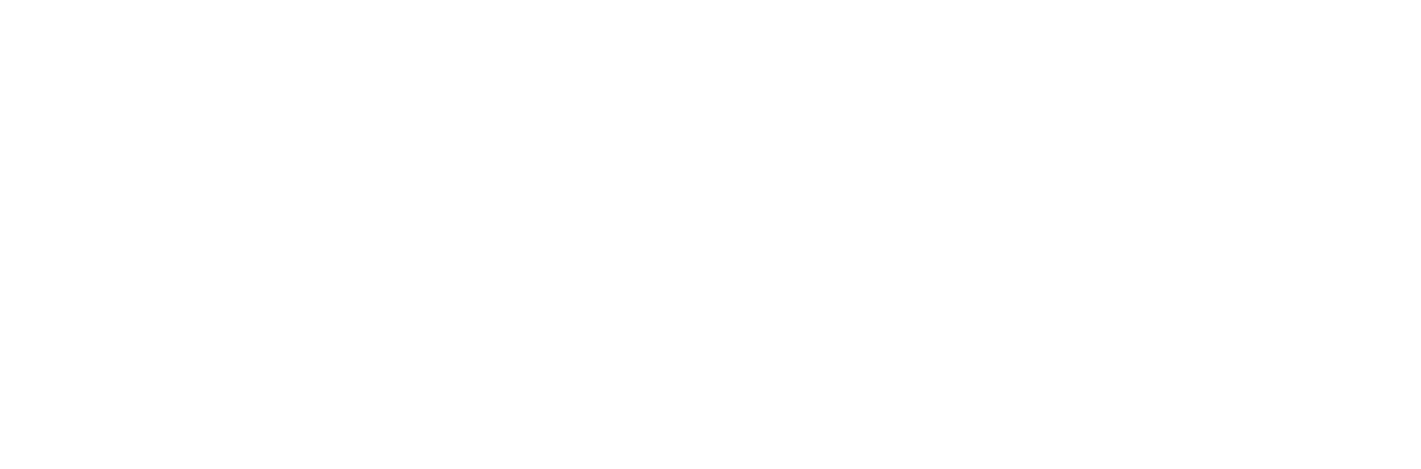 Zamanımızın Bir Kahramanı
