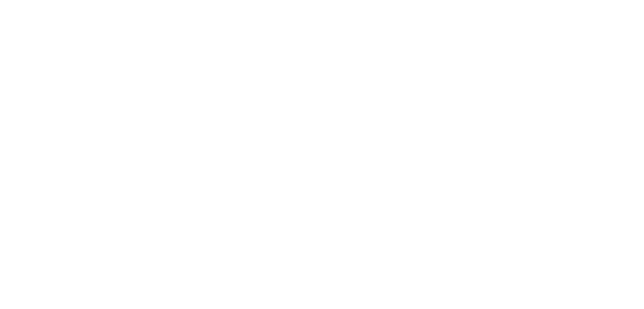 Toni Erdmann