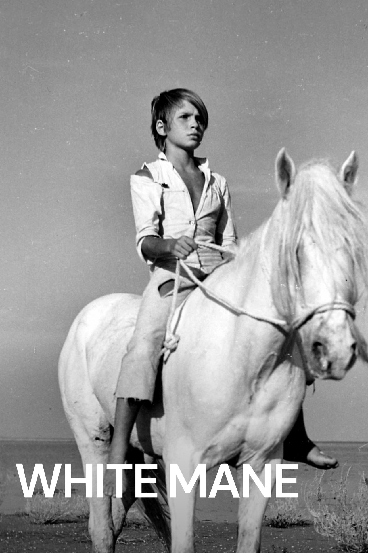 White Mane (1953) | MUBI
