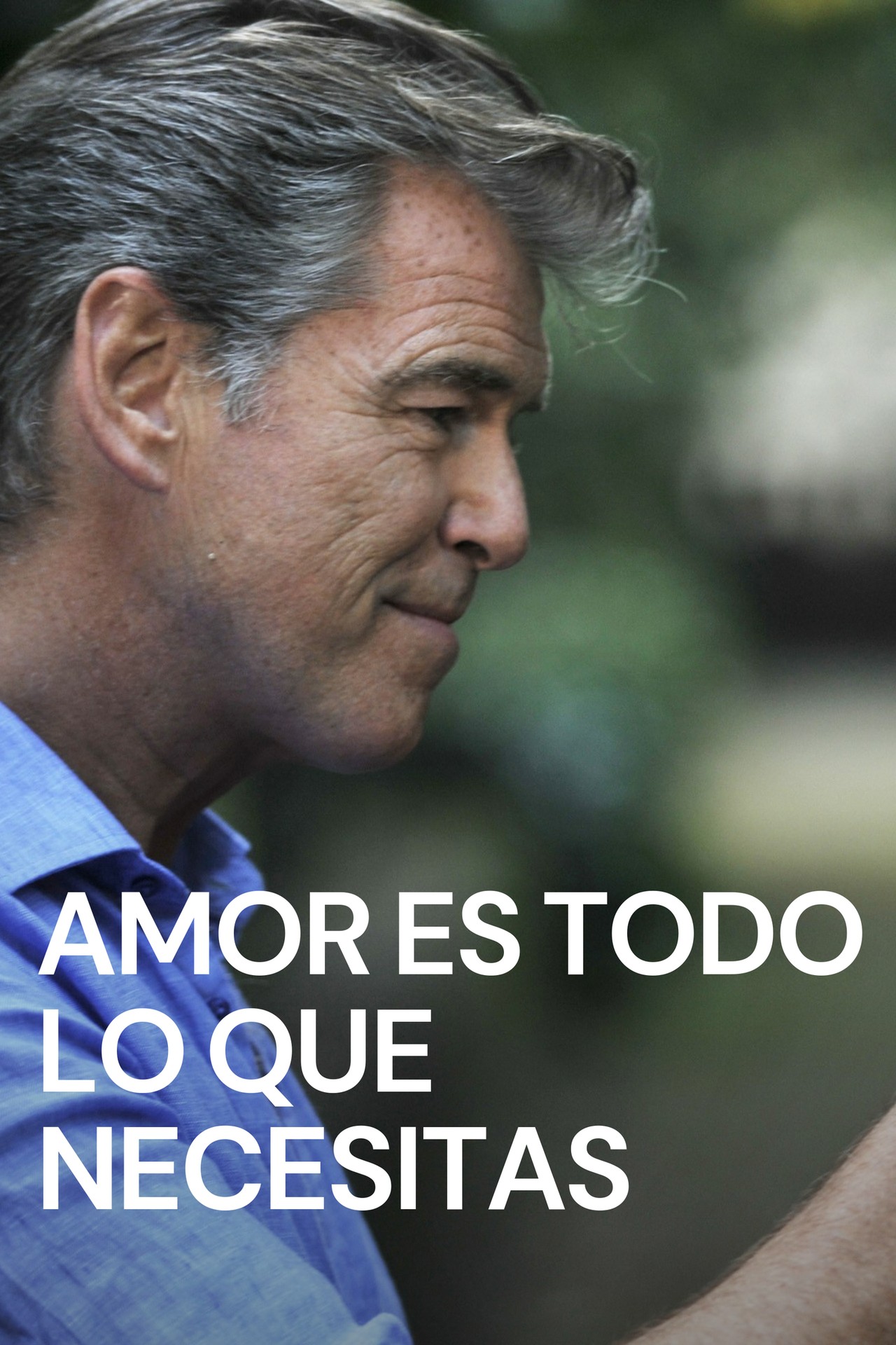 Amor Es Todo Lo Que Necesitas Pelcula 2011 Sensacinecom
