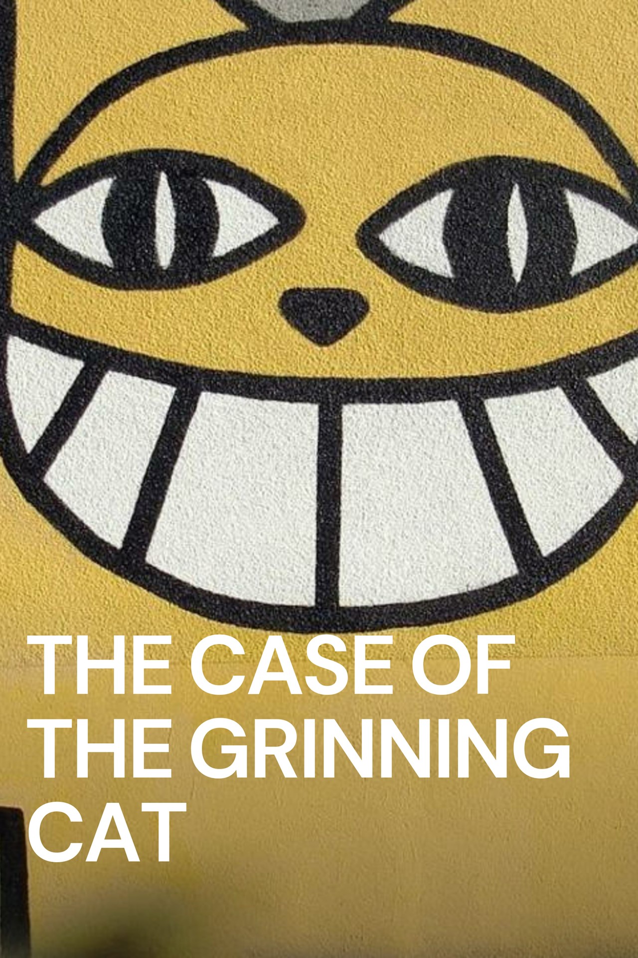 The Case of the Grinning Cat (2004) | MUBI