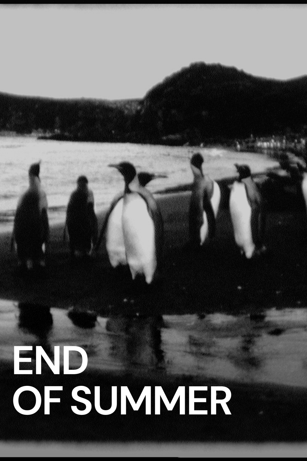 End of Summer (2014) | MUBI