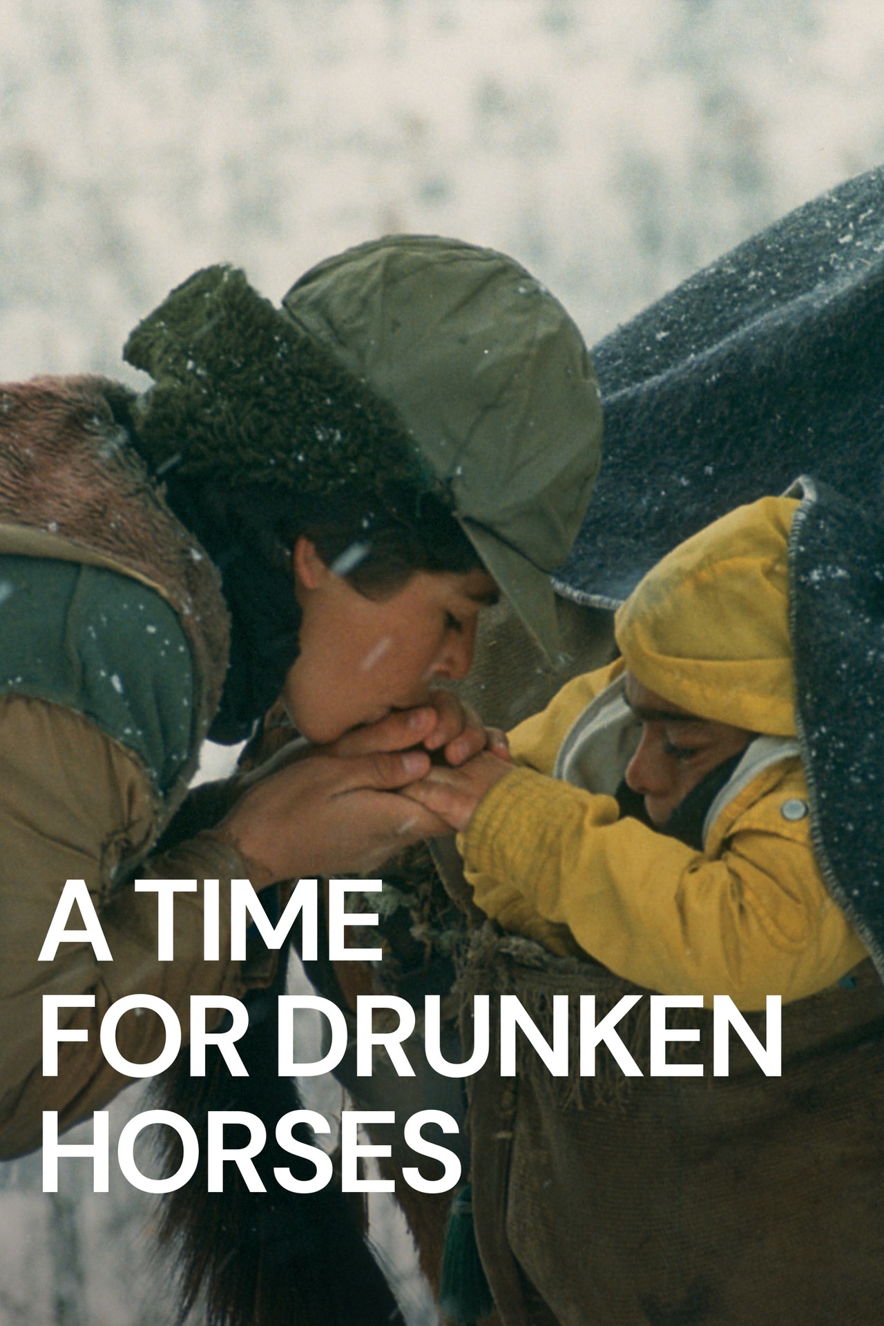 A Time for Drunken Horses (2000) | MUBI