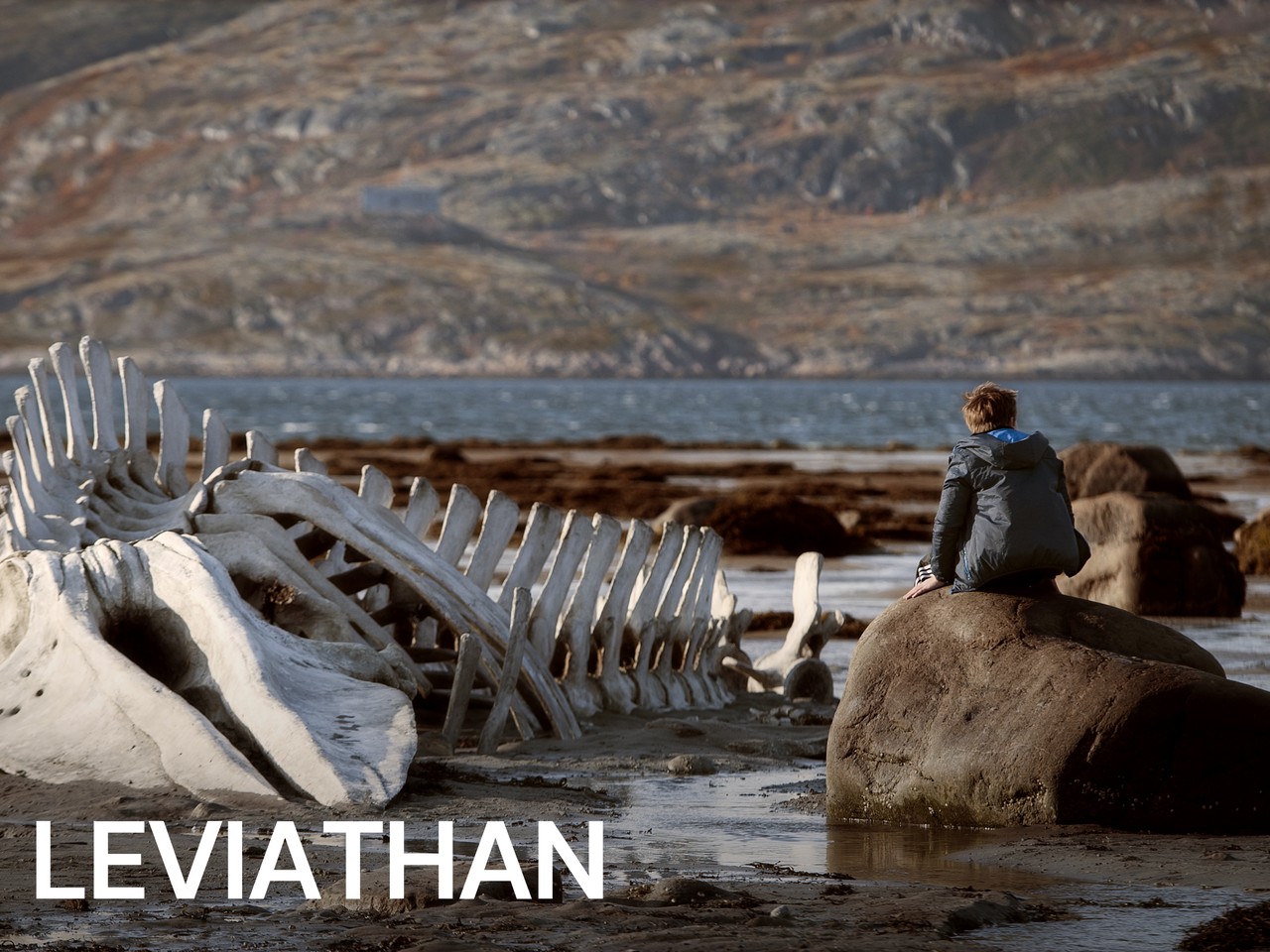 Leviathan (2014) | MUBI, image size:1280x960