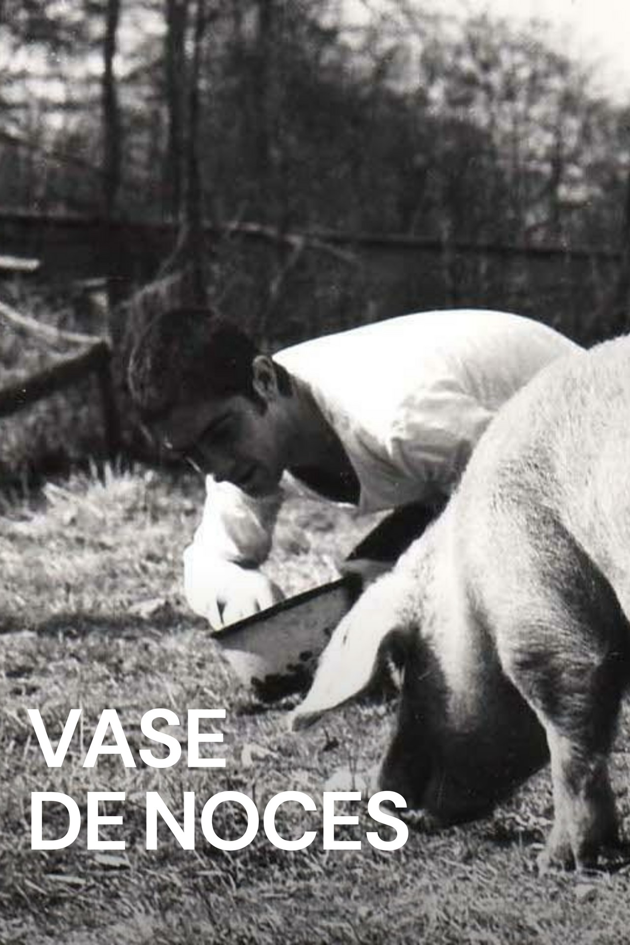 Vase De Noces (1974)