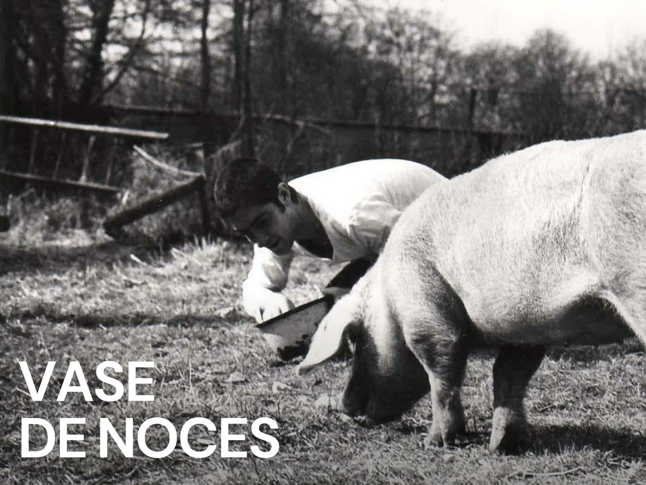 Vase De Noces (1974)