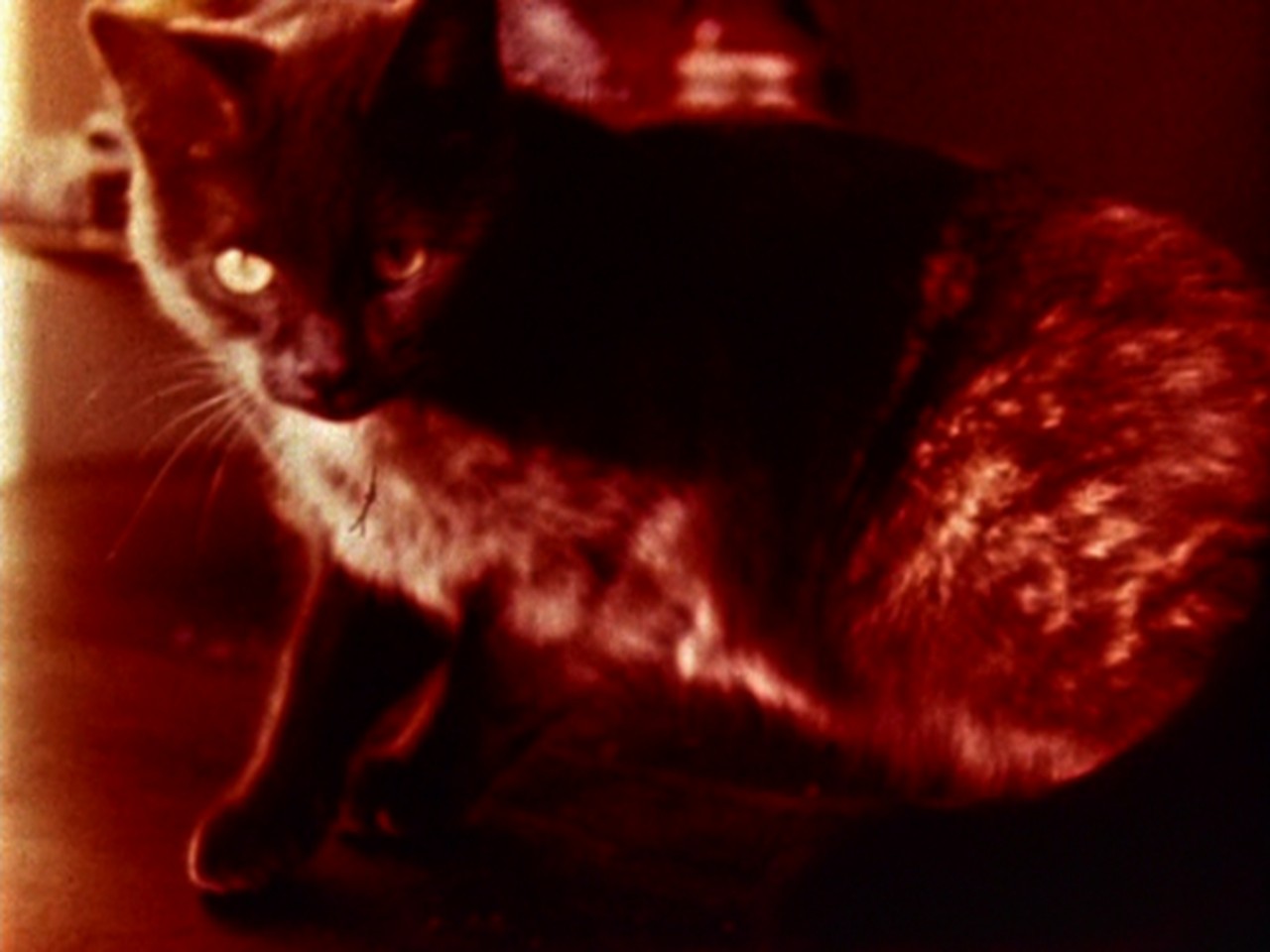 user_profile:user_profile.profile_picture