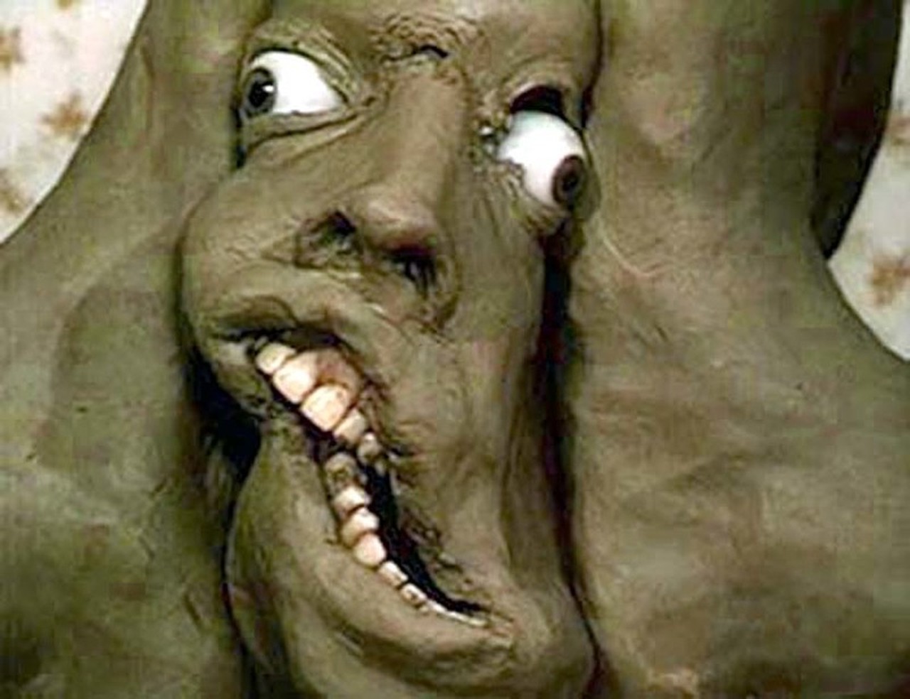 Lucas Haynes's profile picture