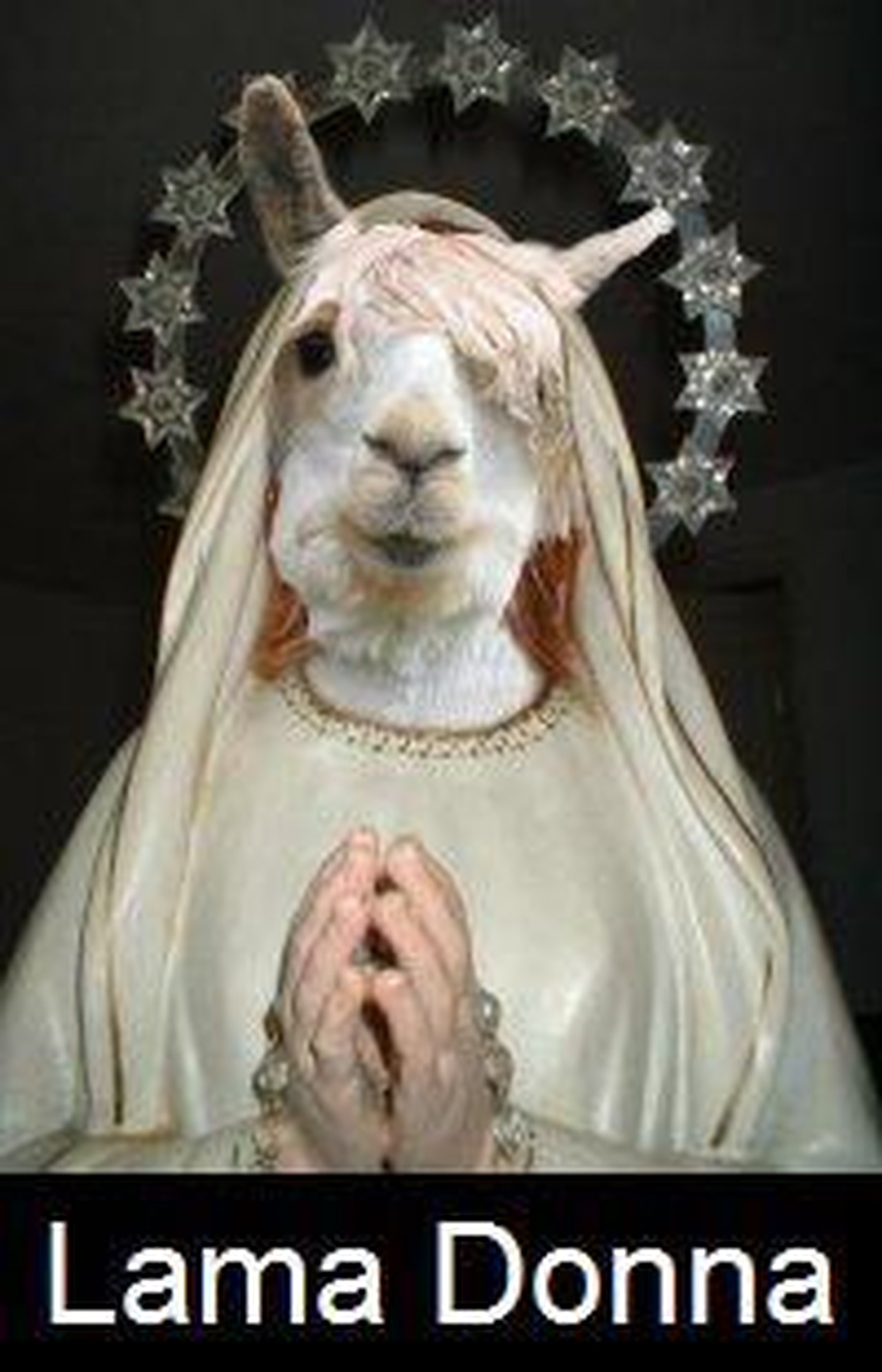 Pietro Nastasi's profile picture