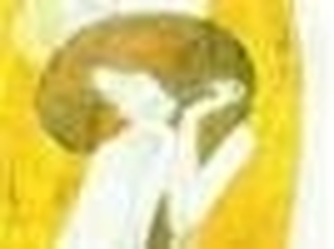 aberracja's profile picture