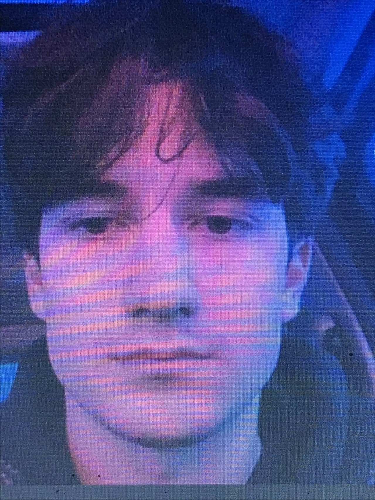 Marton Losonci's profile picture