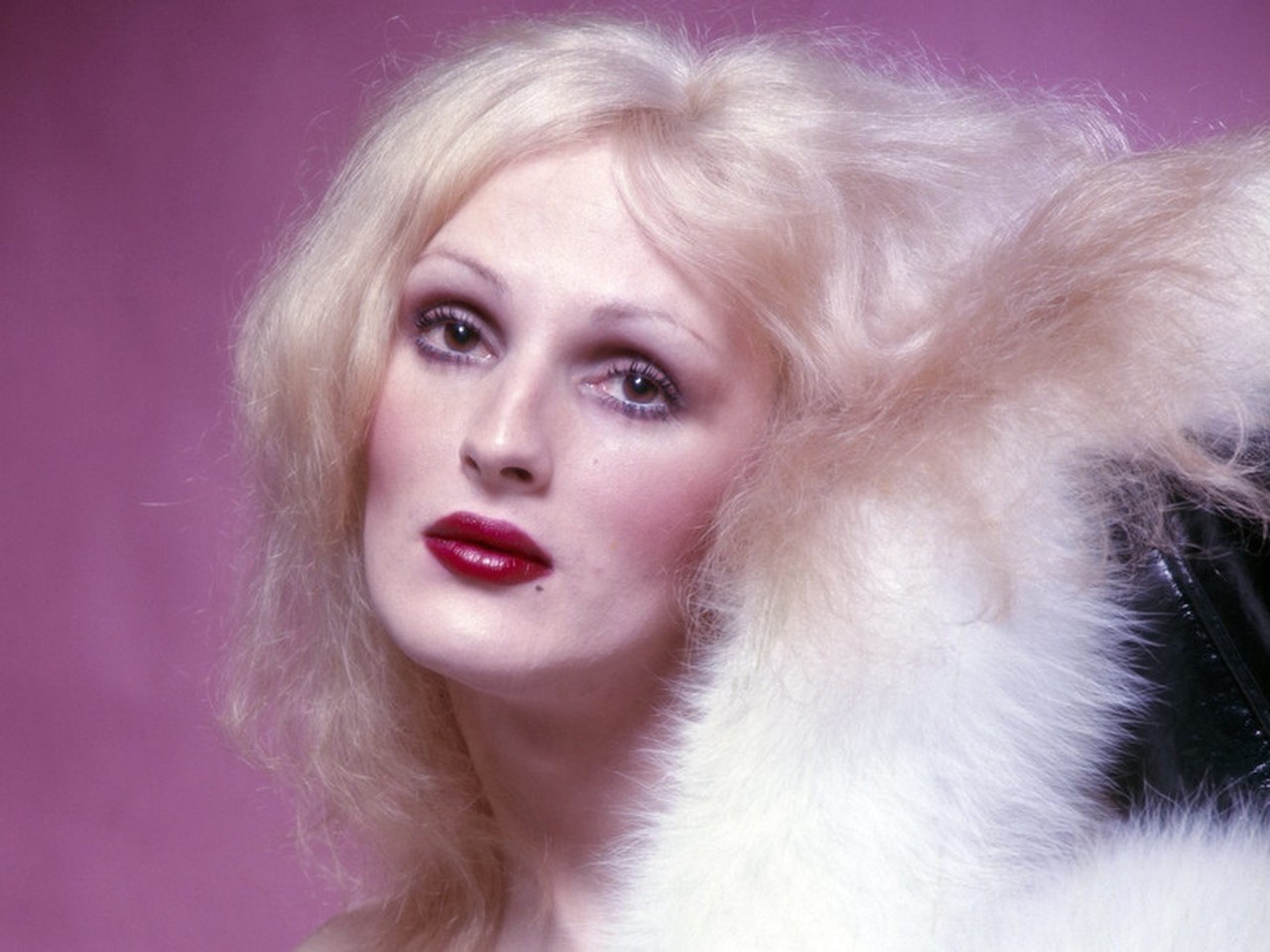 Profilbild von Lilianna Mohácsi