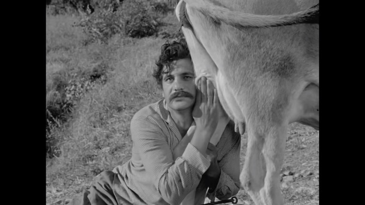 Abdi Şeker's profile picture