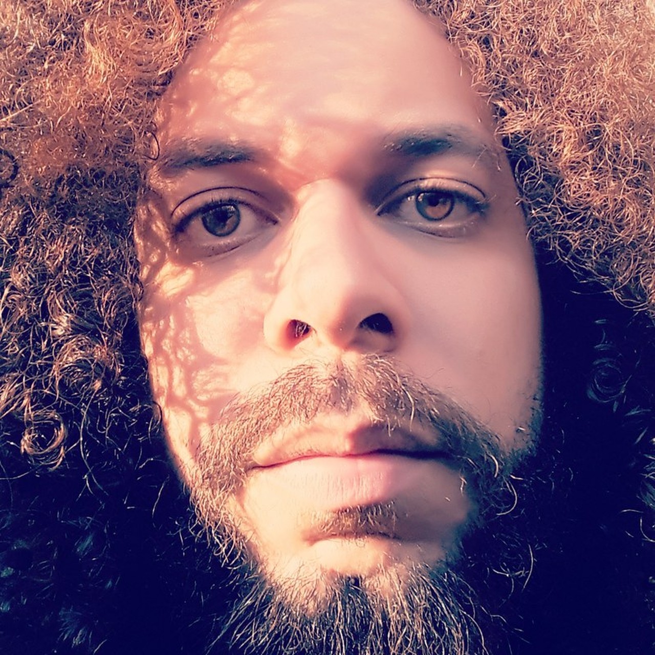DIEGO MATOS PEREIRA's profile picture