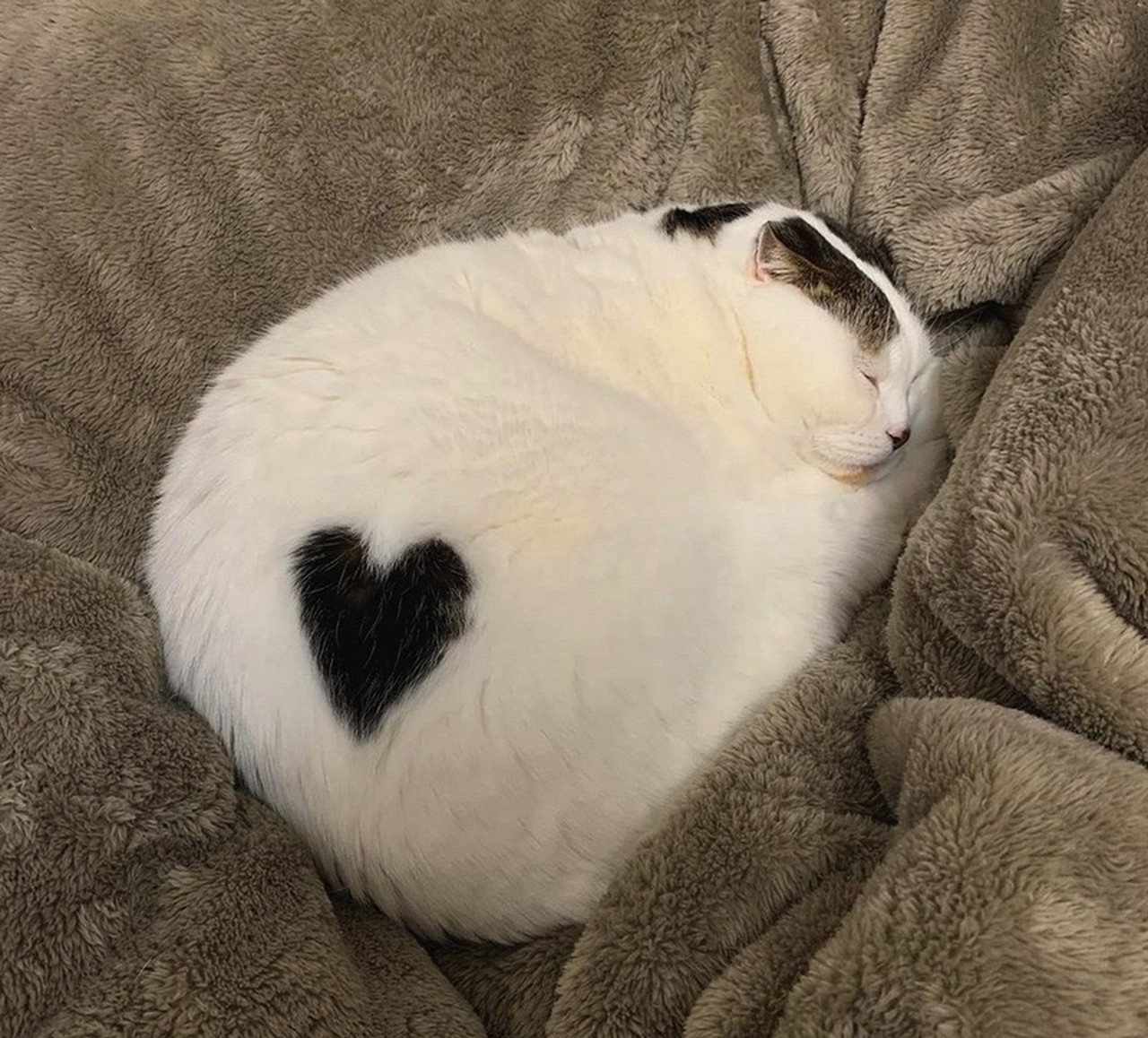 Stella Le Page's profile picture