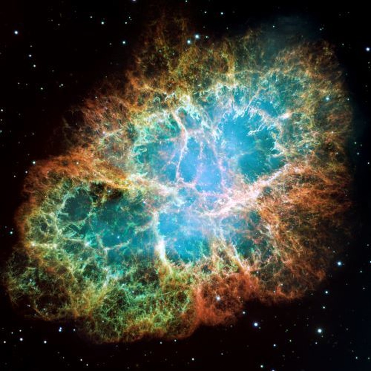 The Nebula's profile picture