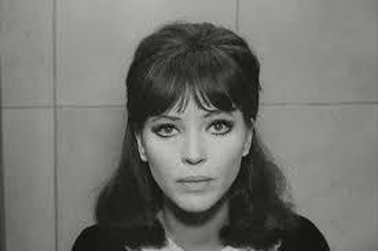 Sima Cihangir's profile picture