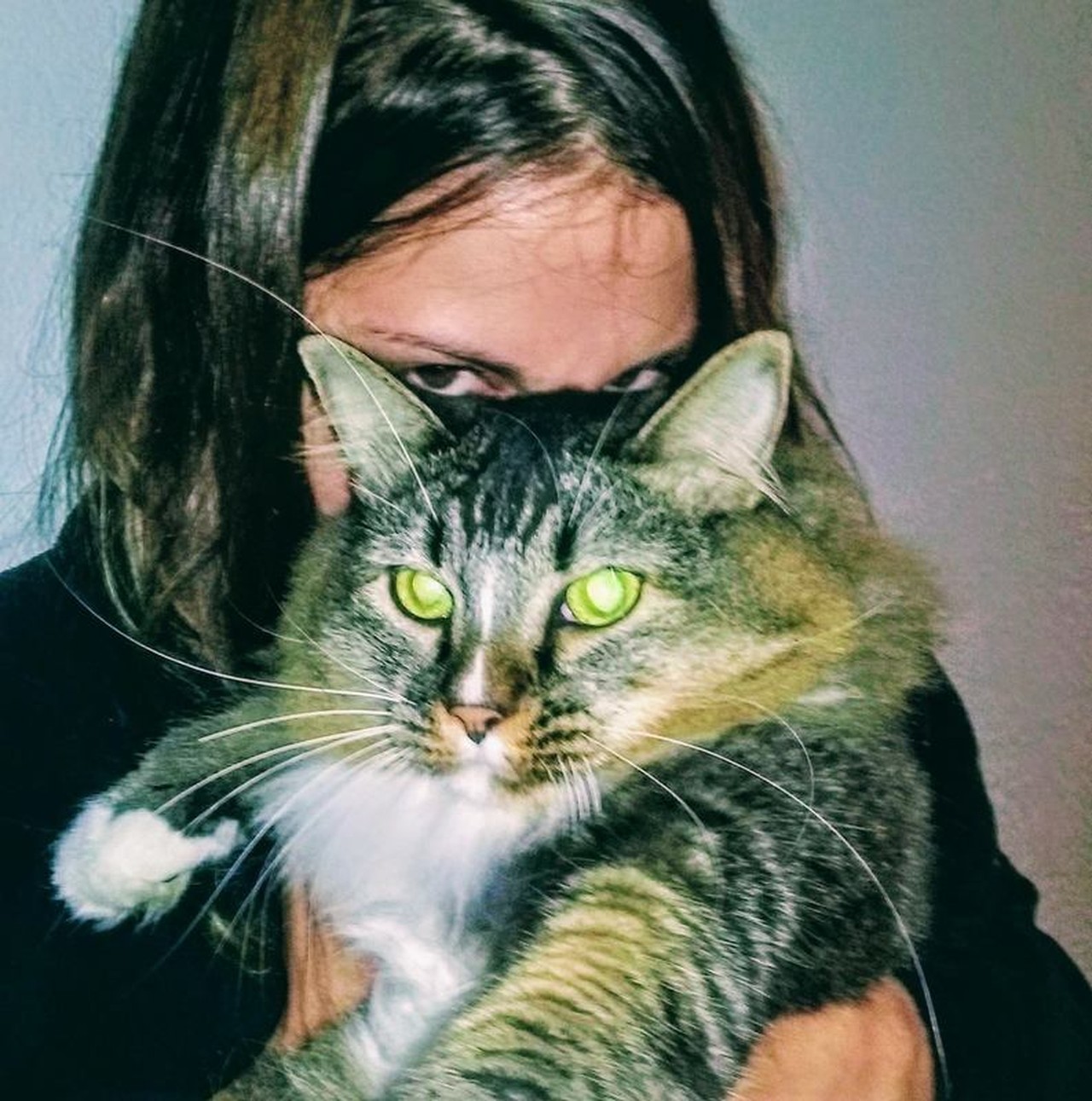 Alice Andrade Drummond's profile picture