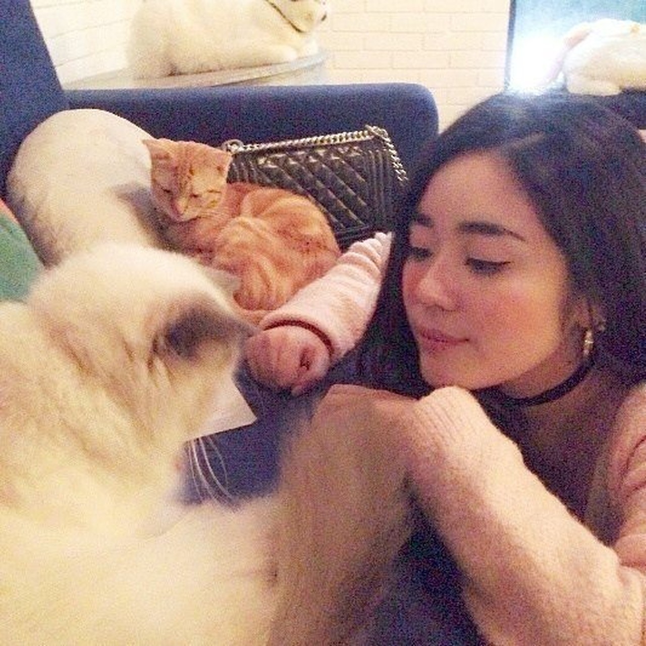 Saskia Anggun Chairunnisa's profile picture