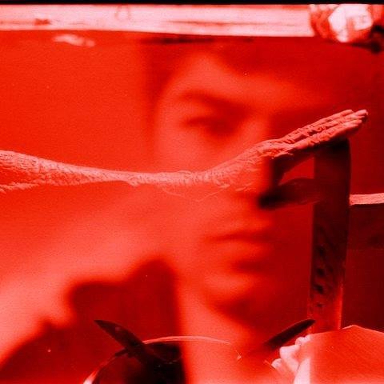 paulo.pastorelo profil fotosu
