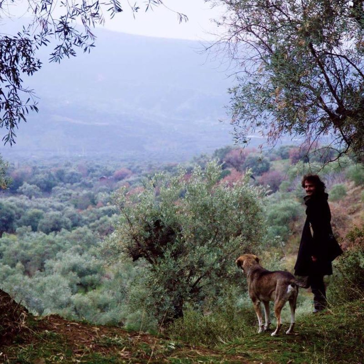 Çağrı Alver's profile picture