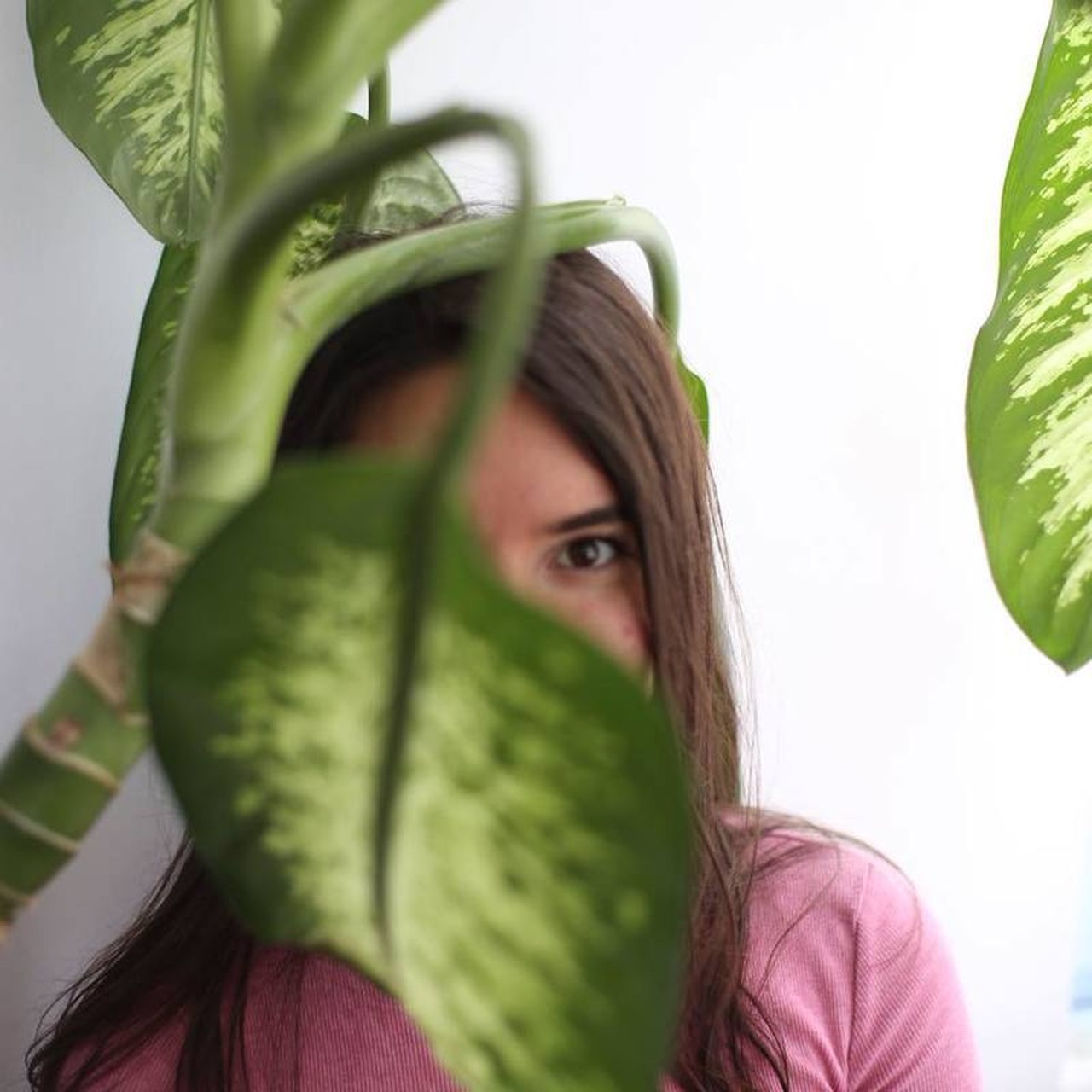 Irmak Wöber profil fotosu