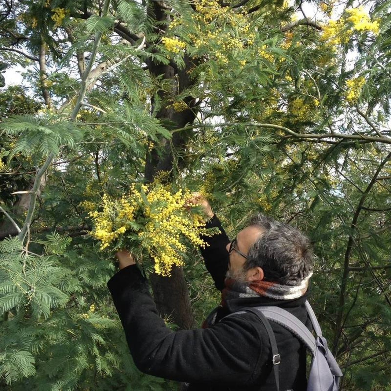 Murat Cemal Yalçıntan's profile picture