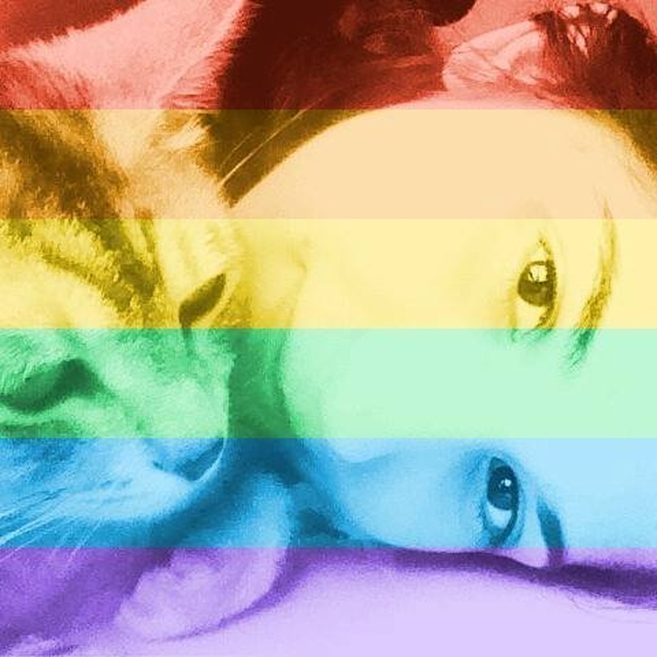 İnci Bilgin's profile picture