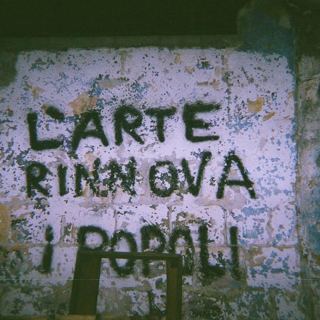 Silvia Grisenti's profile picture
