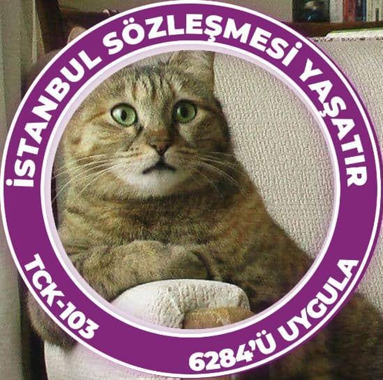 Profilbild von Perihan Bayraktar