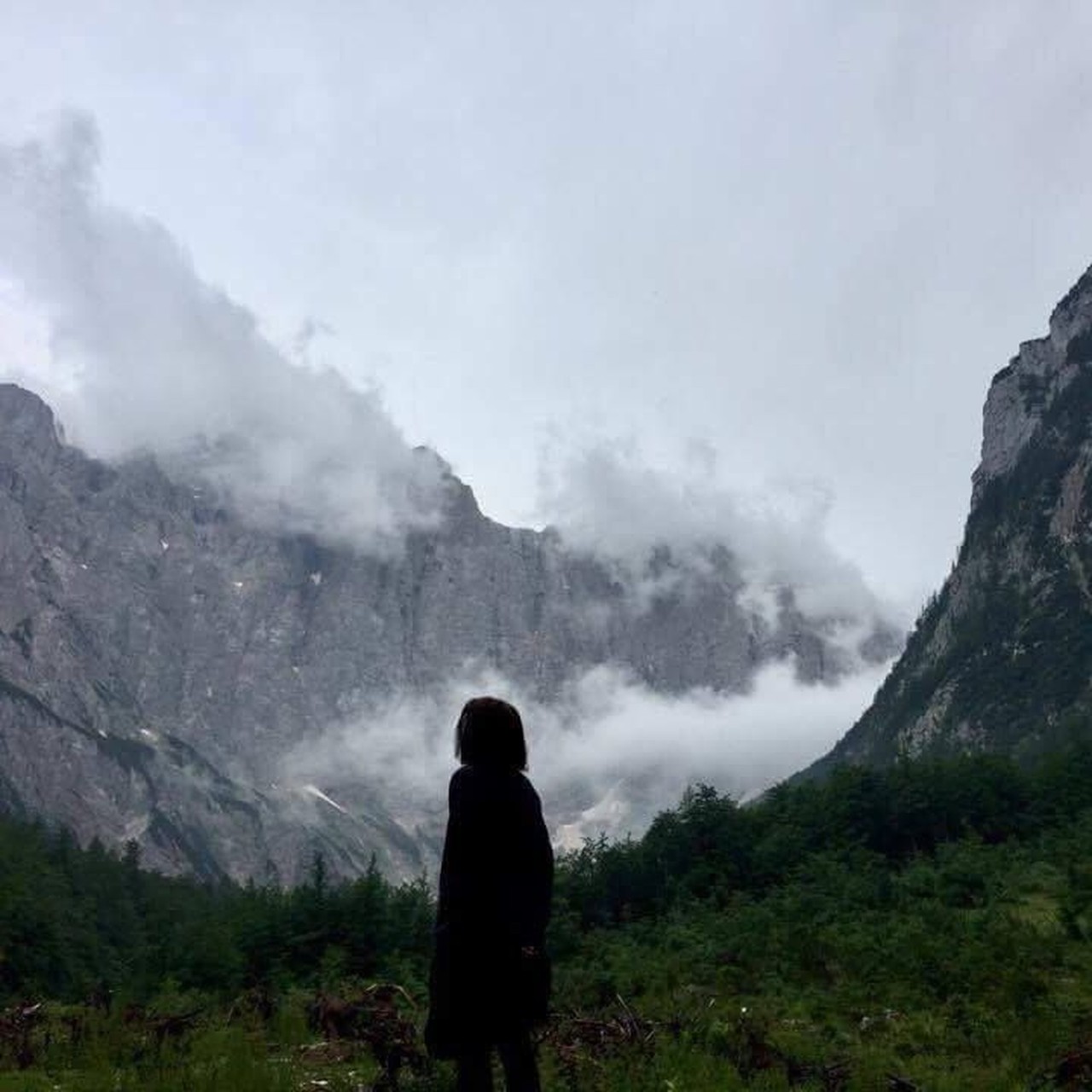 Lanna Praprotnik's profile picture