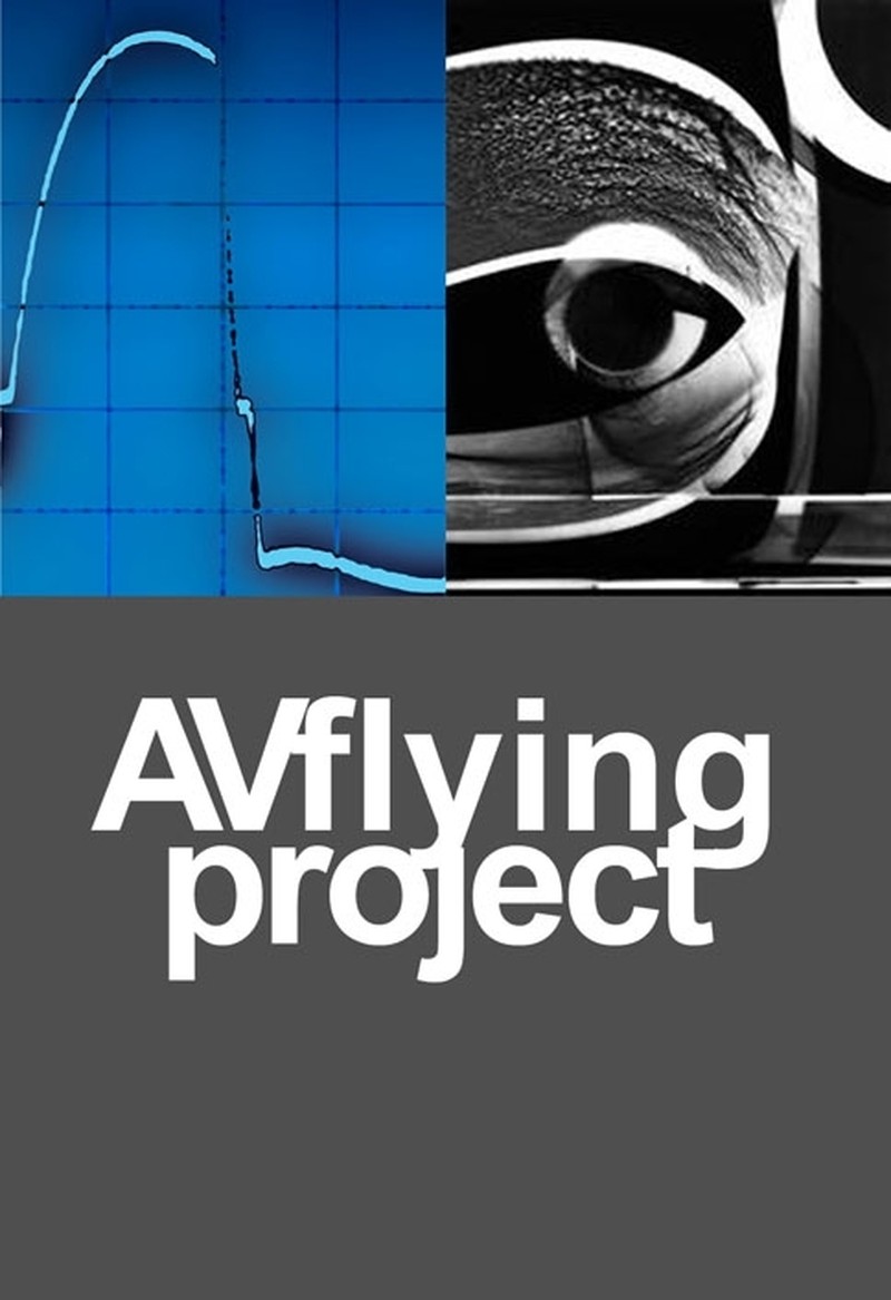 AVflying's profile picture