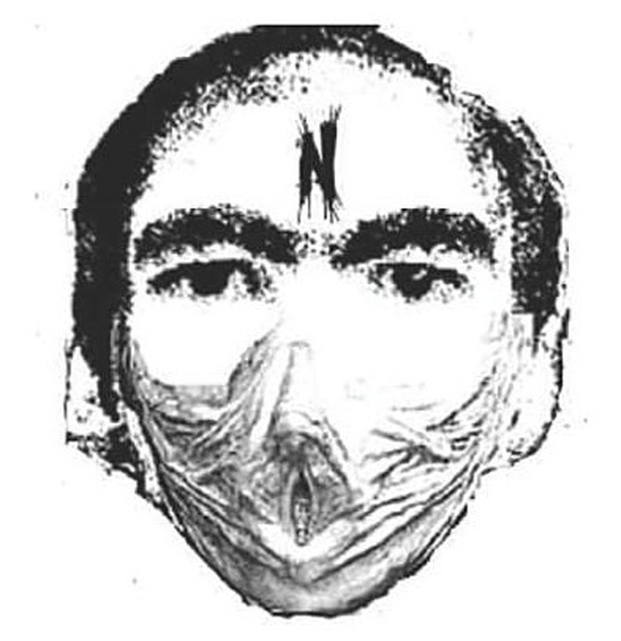 user_profile:user_profile.profile_picture