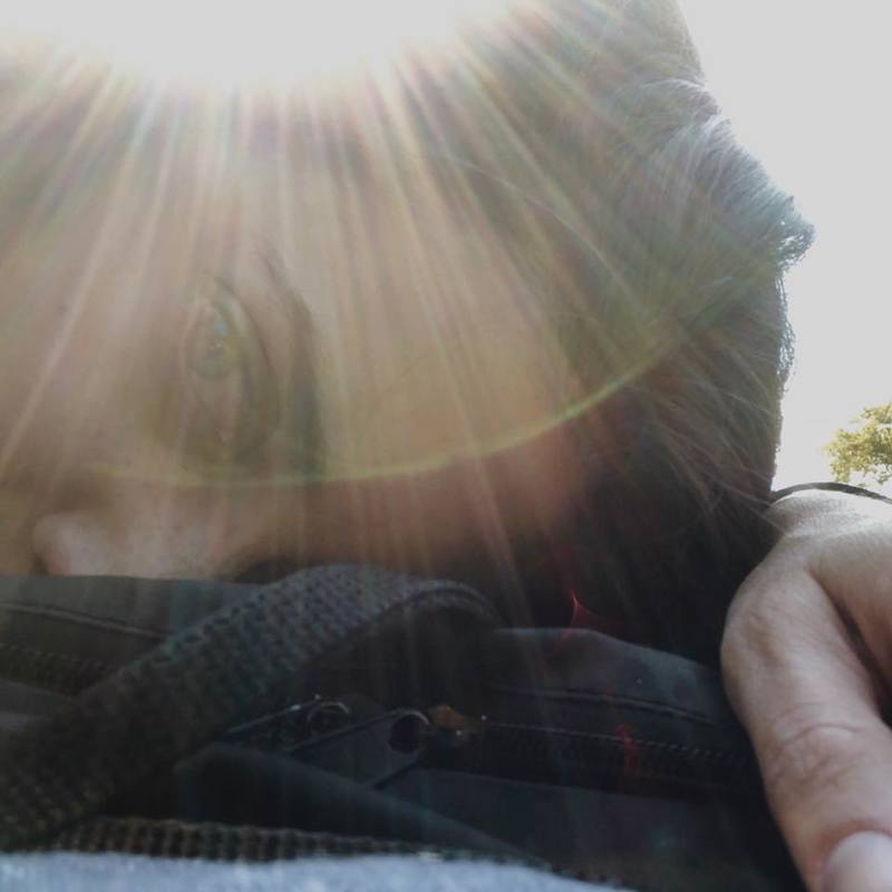 Profilbild von Iara