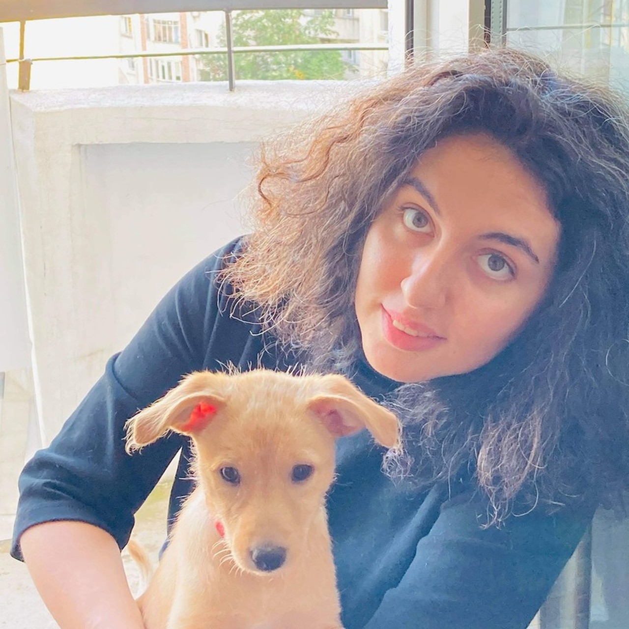 Ana Uluceanu's profile picture